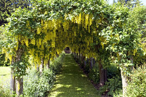 Blairquhan garden scotland