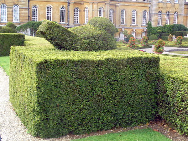 Blenheim Palace