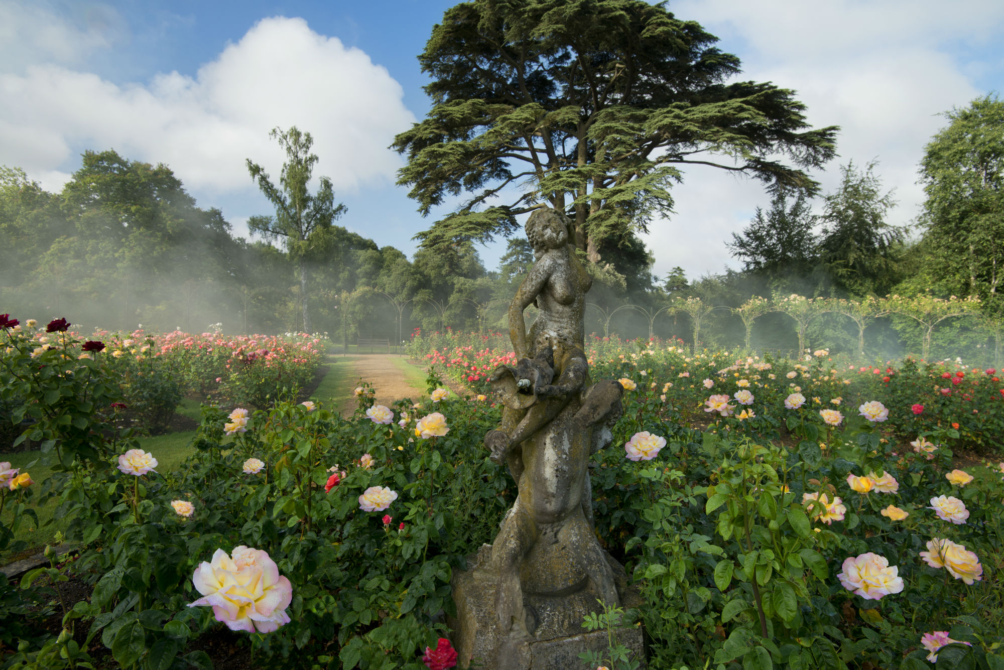Rose Garden and Statue, Blenheim Palace Garden
