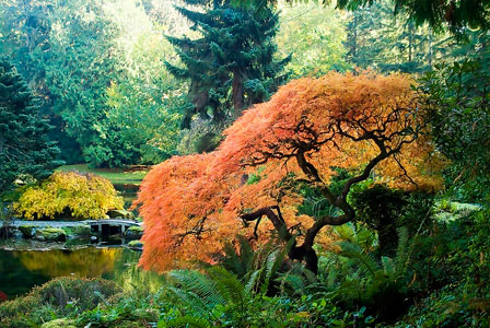 Bloedel Reserve
