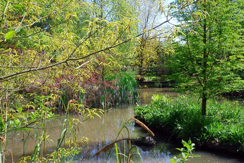 Bluebell Arboretum and Nursery, Spring