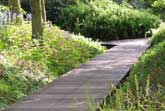 Timber path