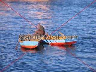 Boats Sea Marmara Turkey