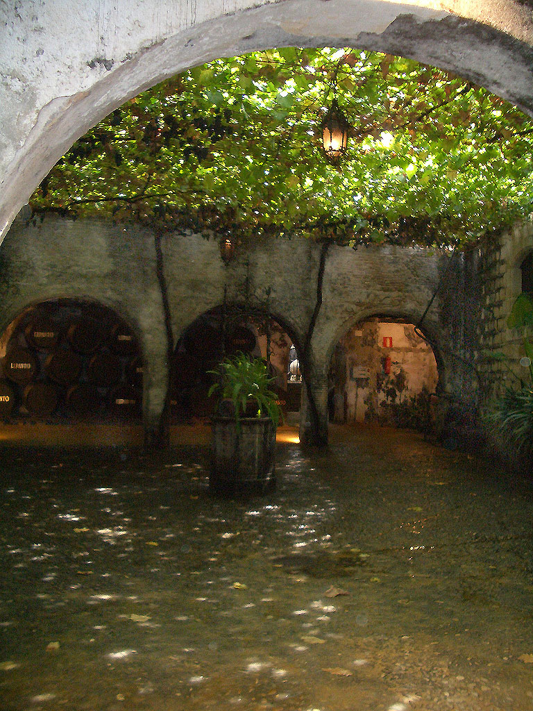 Bodega Gardens Jerez Amiro