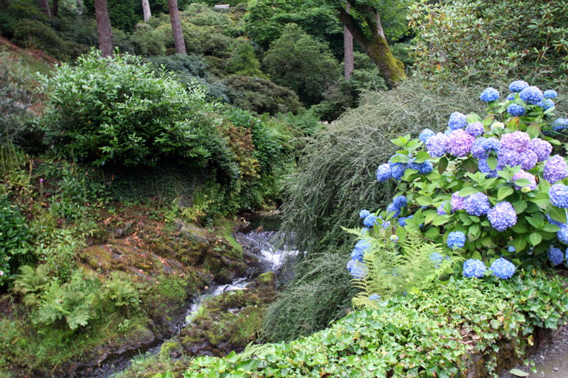 Bodnant Garden, 2008