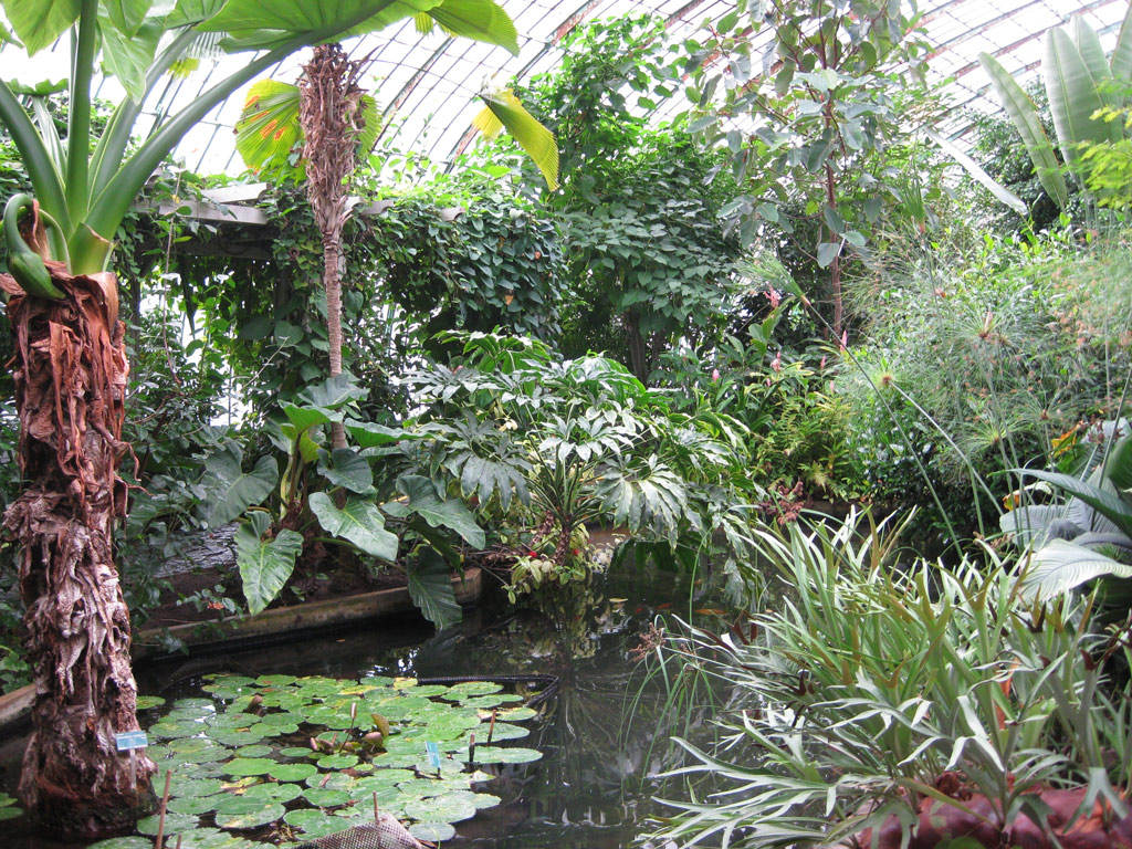 Serres d'Auteuil, Bois de Boulogne