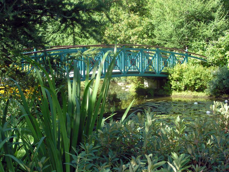 Bois de Coulongne, Canada