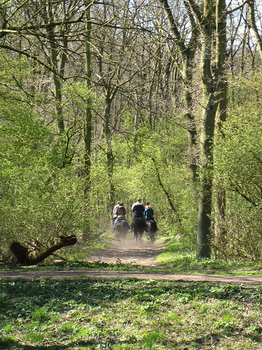 Amsterdamse Bos Park