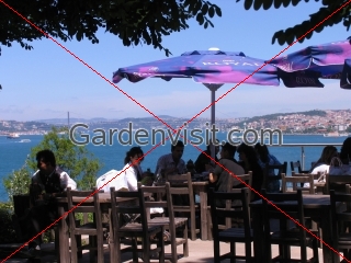 Bosphorus Cafe Turkey