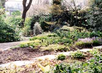 Bosvigo garden1
