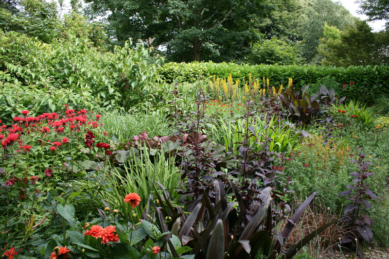 Bosvigo Garden, Truro