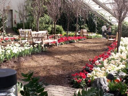 Foellinger-Freimann Botanical Conservatory, Fort Wayne