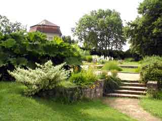 Botanical garden vienna