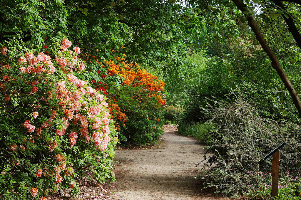 Botanische tuin Belmonte Fried Kampes