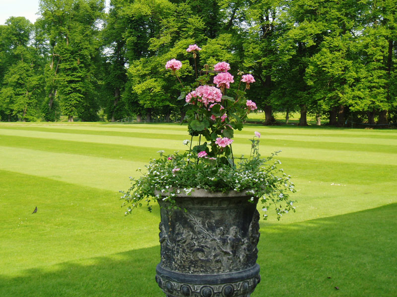 Boughton House