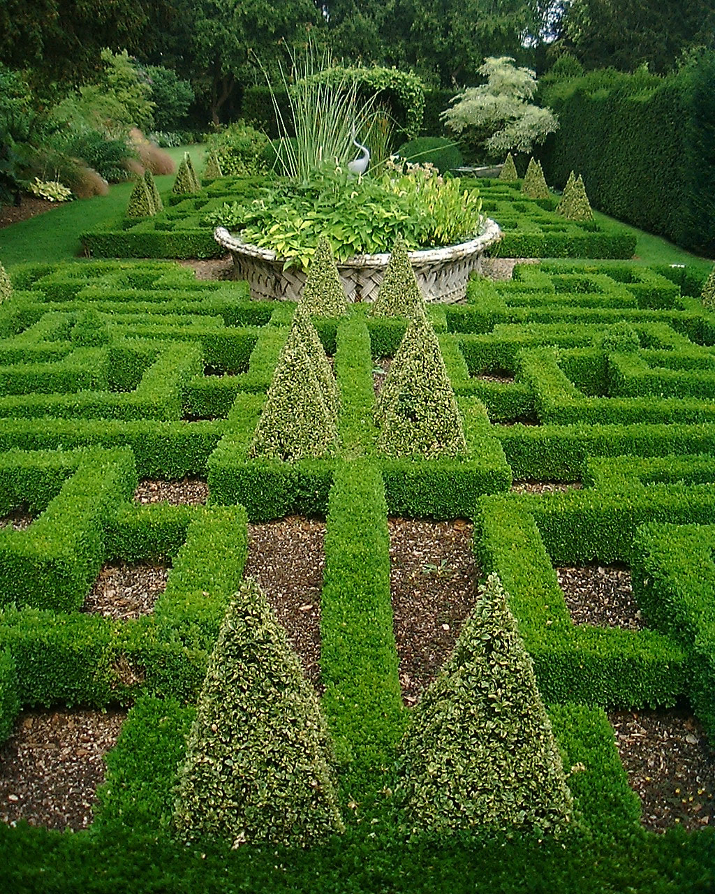 Knot Garden
