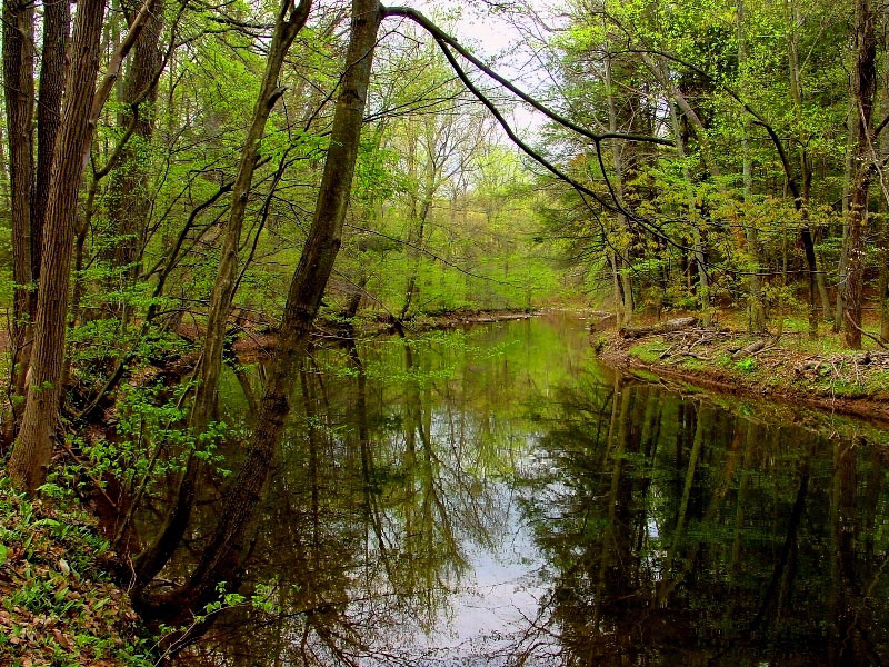 Bowman's Hill, PA