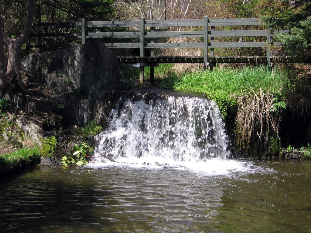 Bowring Park, Newfoundland