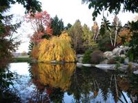 Hortus goes to New York
