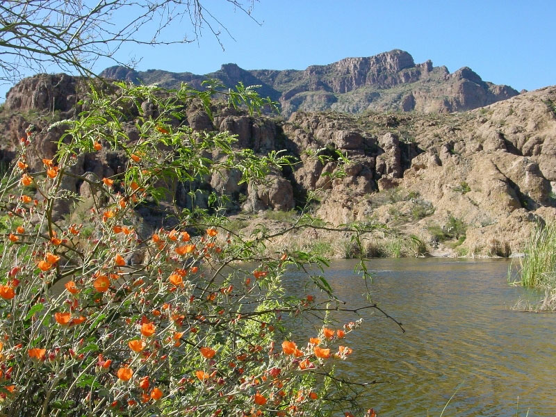 Boyce Thompson Arboretum, Arizona