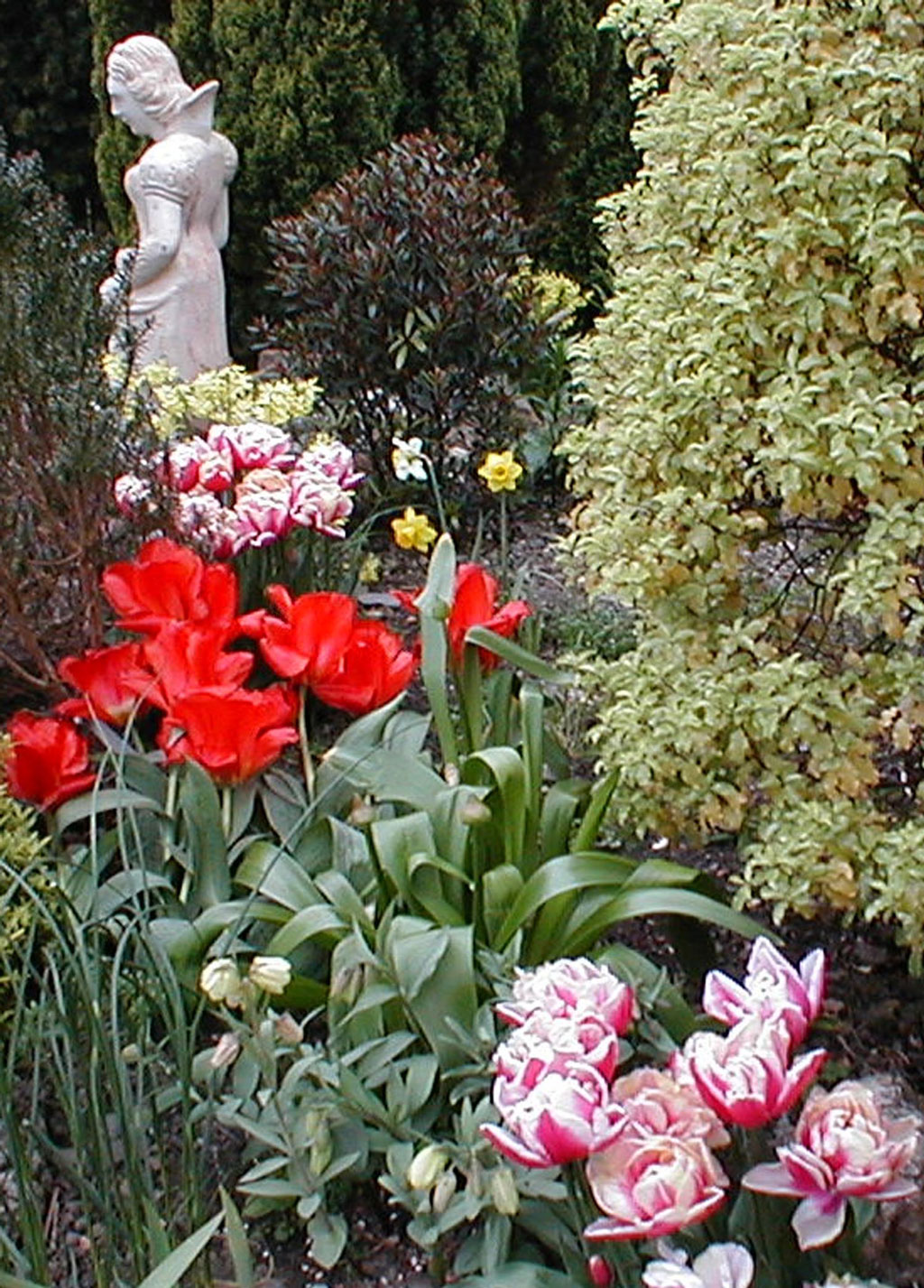 Statue, Boyce's Garden