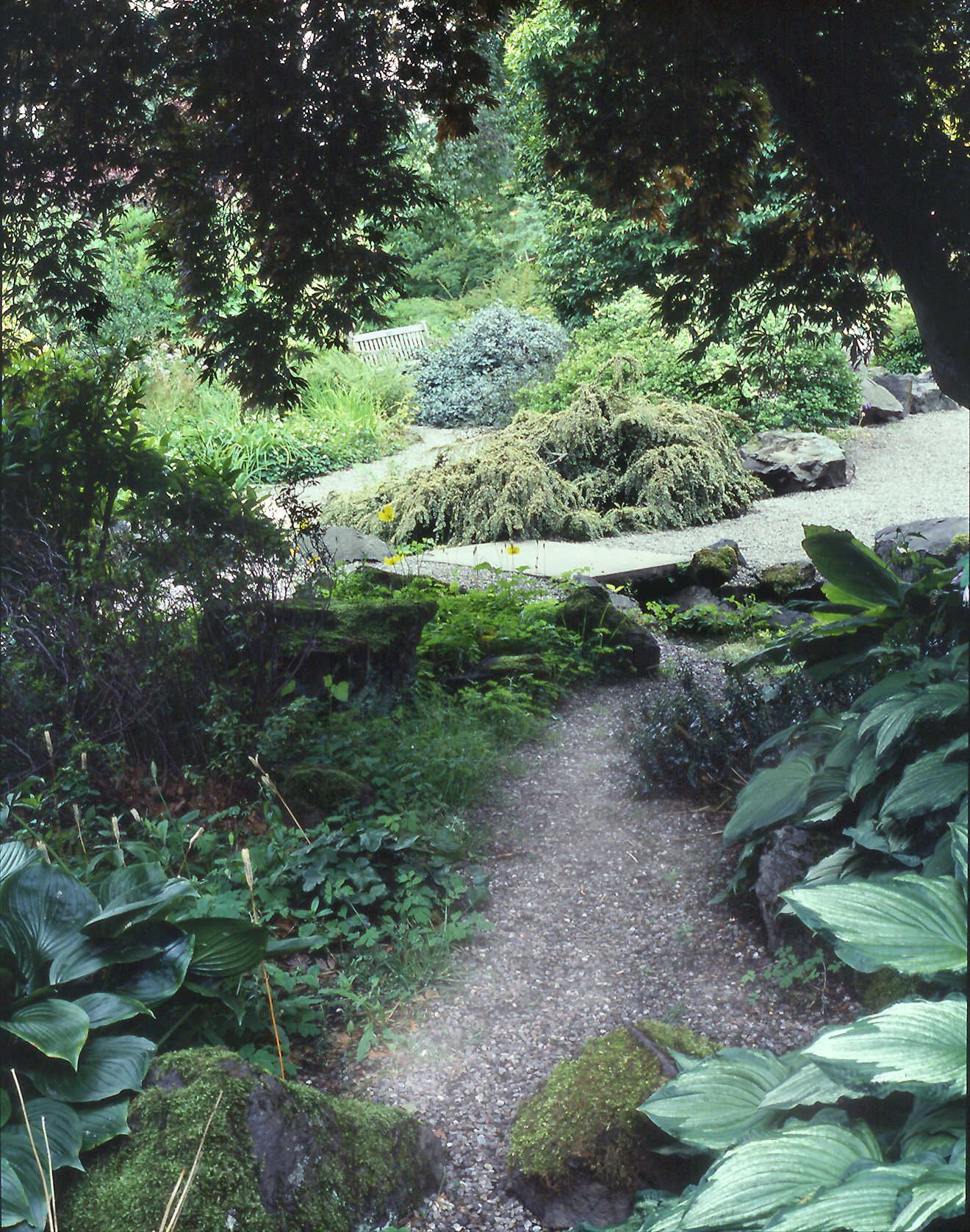 Branklyn Garden Gardenvisit.com