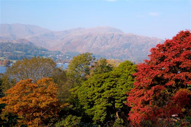 Brantwood Garden, Cumbria