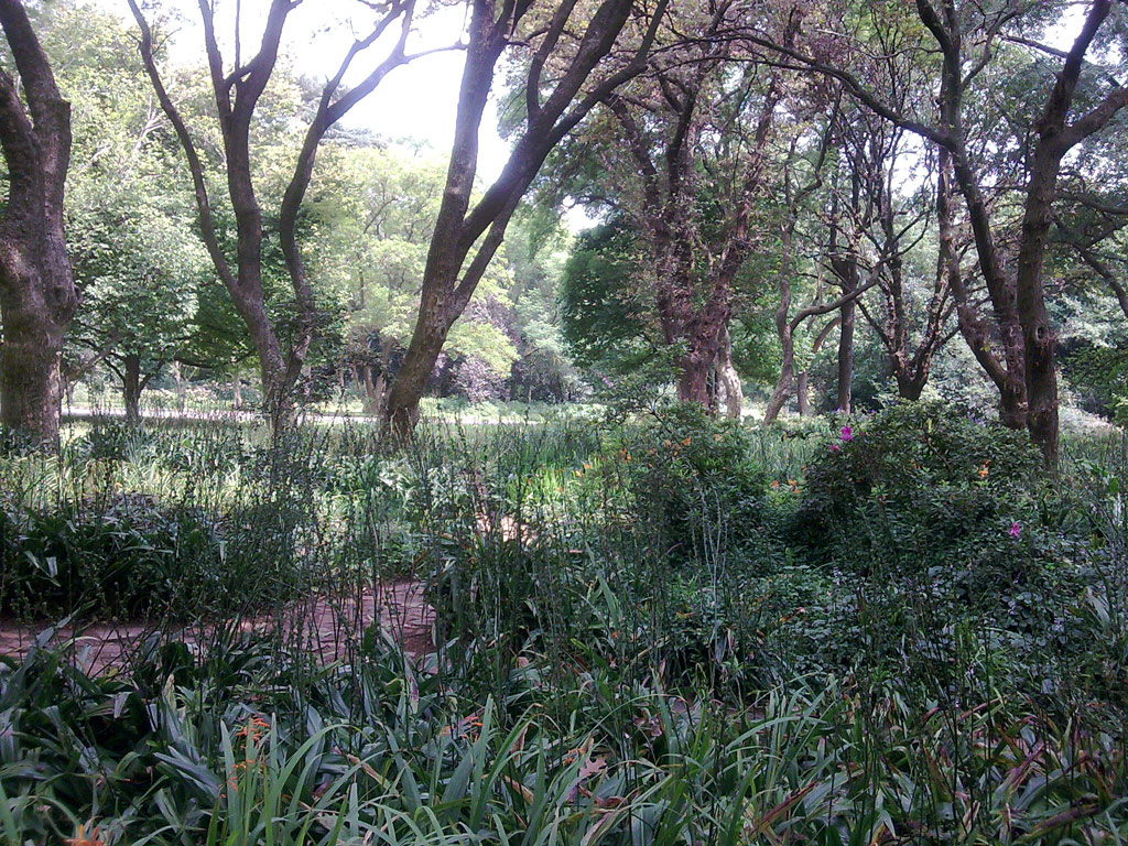 Brenthurst Garden, Johannesburg