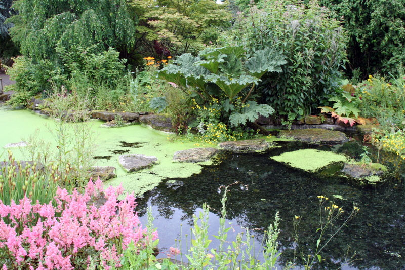 Bridgemere Garden World, July 2008