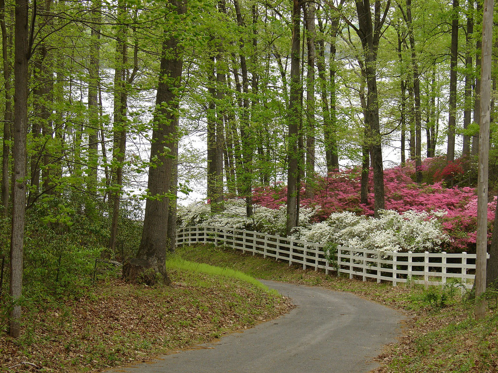 Brighton Dam, Brookeville