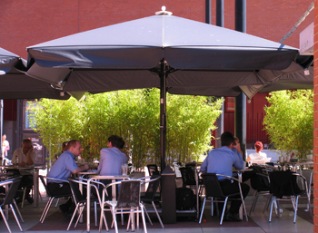 British Library Piazza
