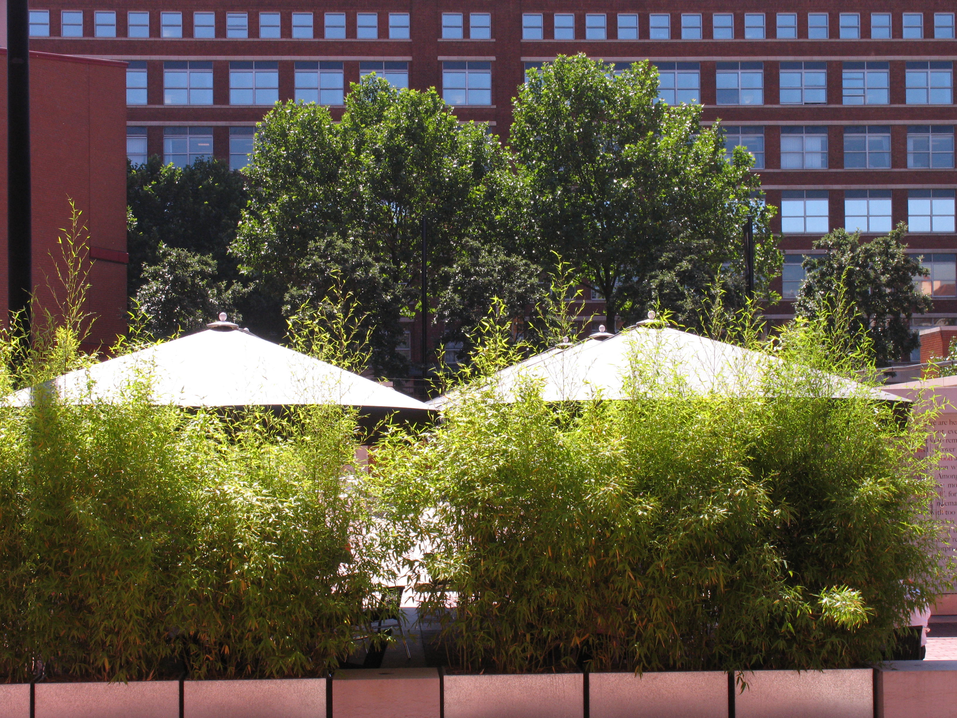 British Library Piazza Gardenvisit.com