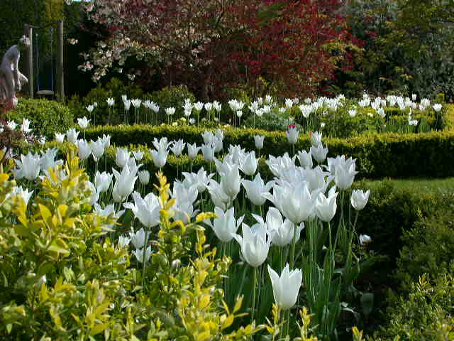 Parterre, Broadleigh Gardens