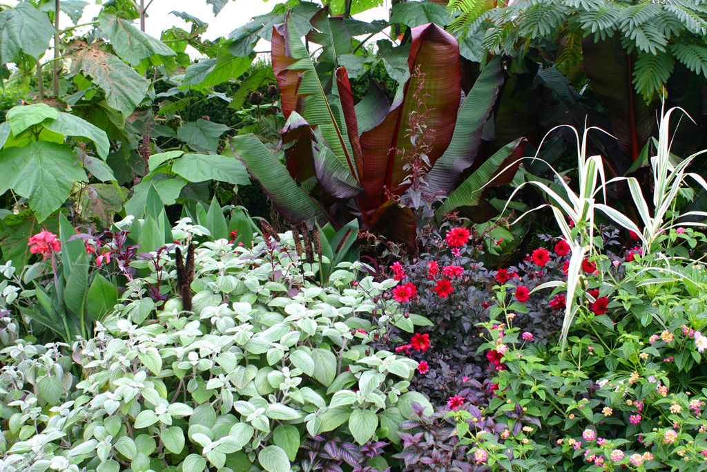 Broadview Gardens, Kent