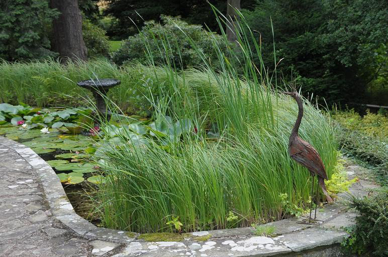 Pond, Brobury House Gardens