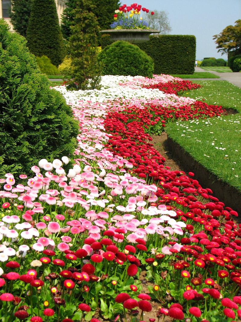 Brodsworth Hall Garden, South Yorkshire