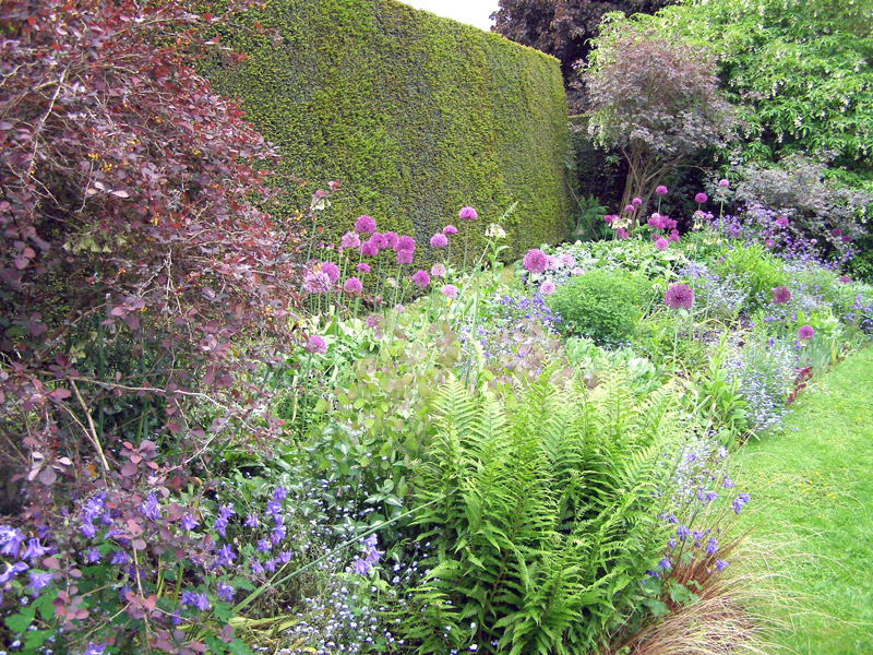 Purple Border, Brook Cottage Garden