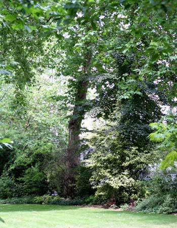 Bryanston Square and Montague Square Gardens