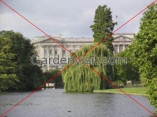 Buckingham Palace