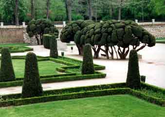 Buen retiro1