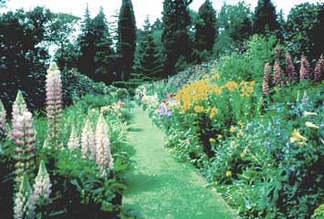 Bughtriggarden