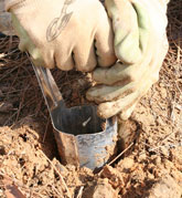 Bulb planter