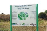 Bully Fen Wood