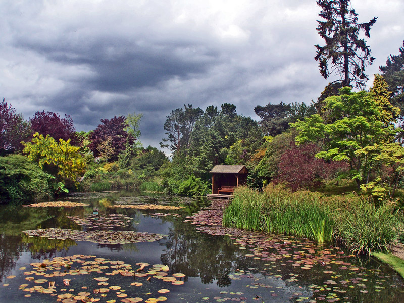 Burnby Hall Gardens, East Yorkshire
