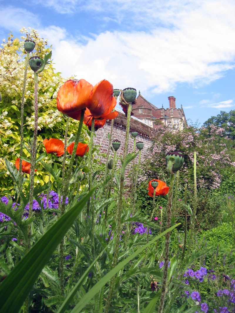 Burton Agnes Hall Garden, East Yorkshire