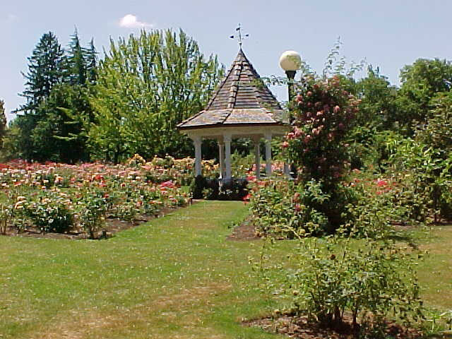 Gazebo, Bush's Pasture Park