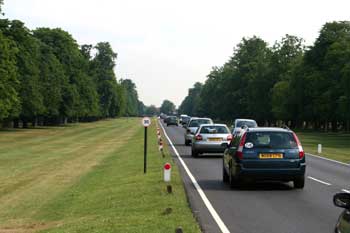 Bushey Park