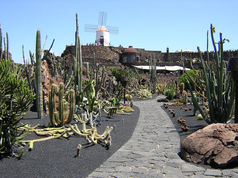 Jardin de Cactus, Lanzarote