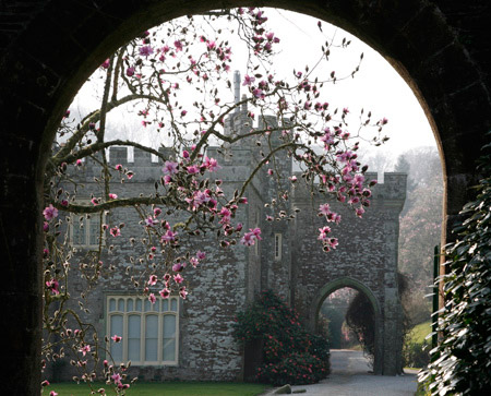 Caerhays Castle in February
