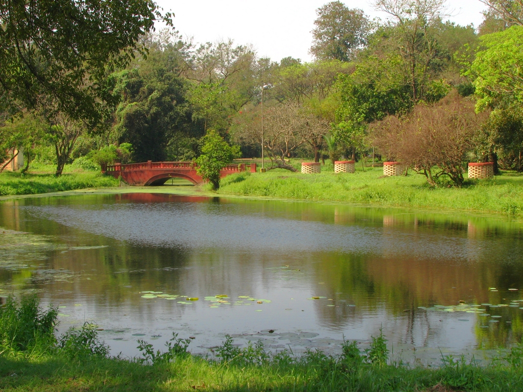 Calcutta Botanic Garden Keshav